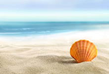 越南射击选手击溃对手，夺得冠军