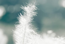 中超联赛赛制调整，球队备战态势迅猛