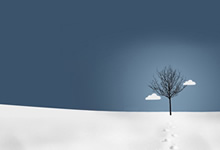 意甲比赛华丽表演，球员技压群雄夺冠