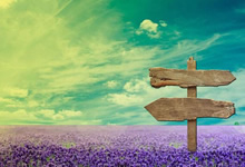 热闹瞬间！中国足球联赛的精彩画面